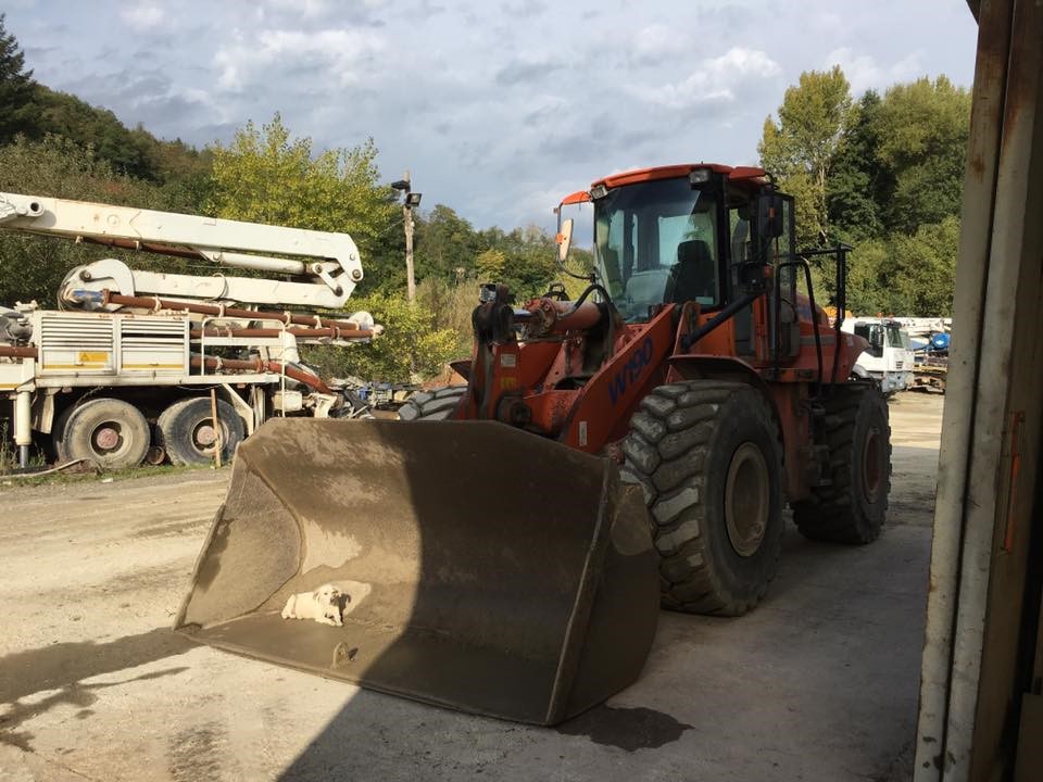 Pala gommata FK W190